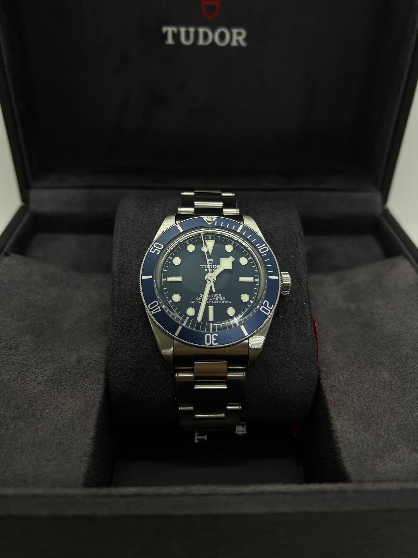 Tudor BlackBay 79030B