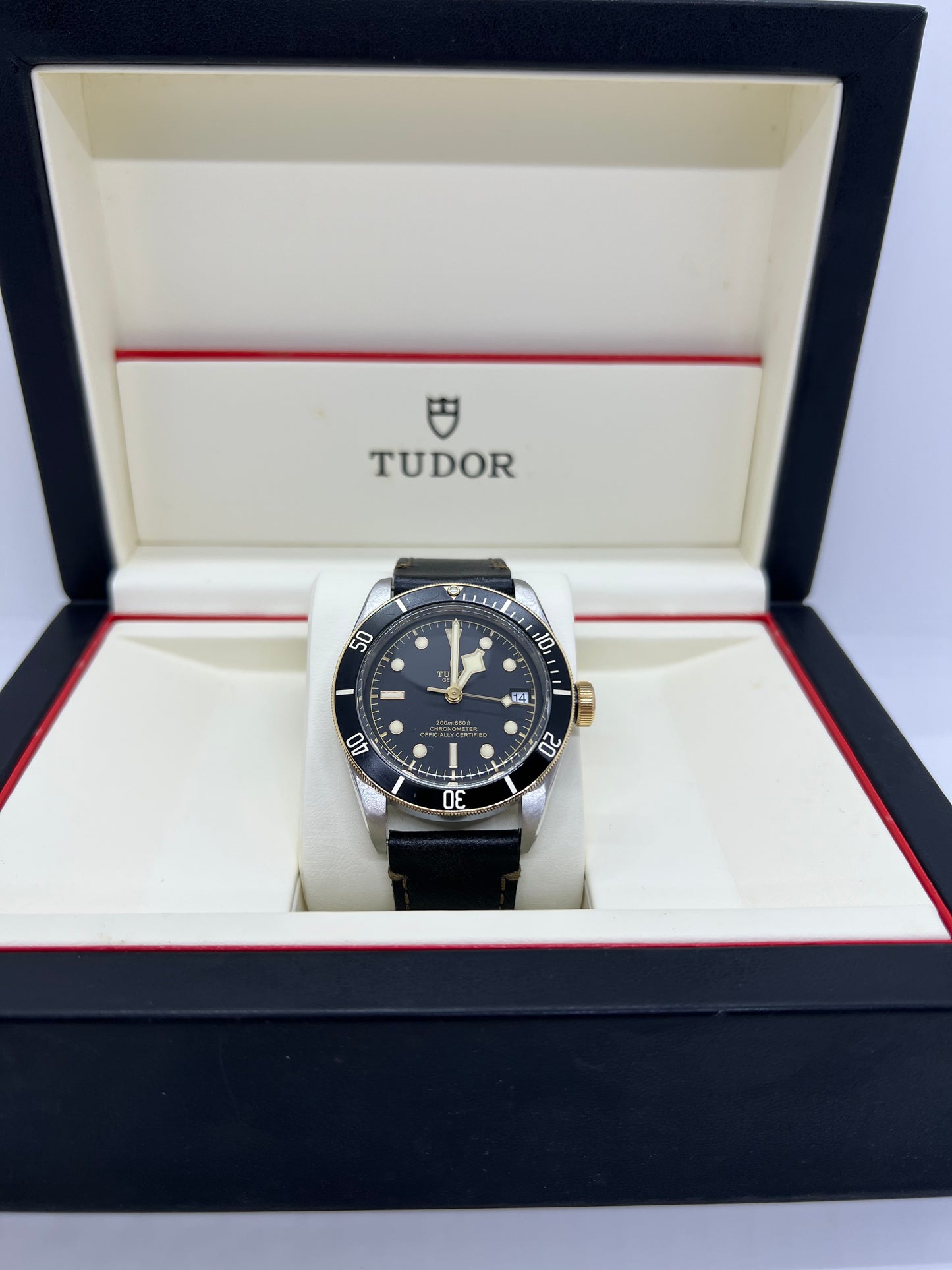 Tudor Heritage BlackBay 79733N