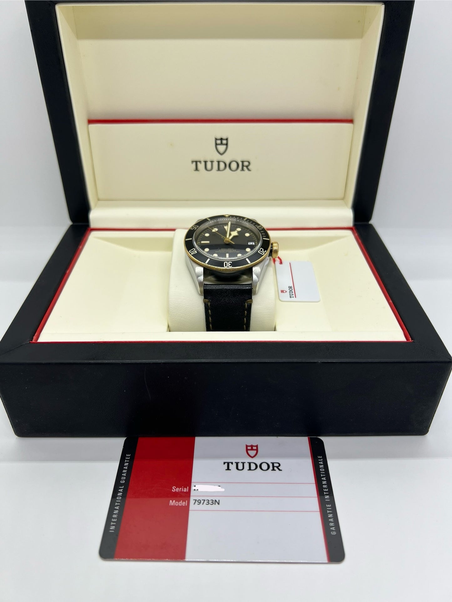 Tudor Heritage BlackBay 79733N