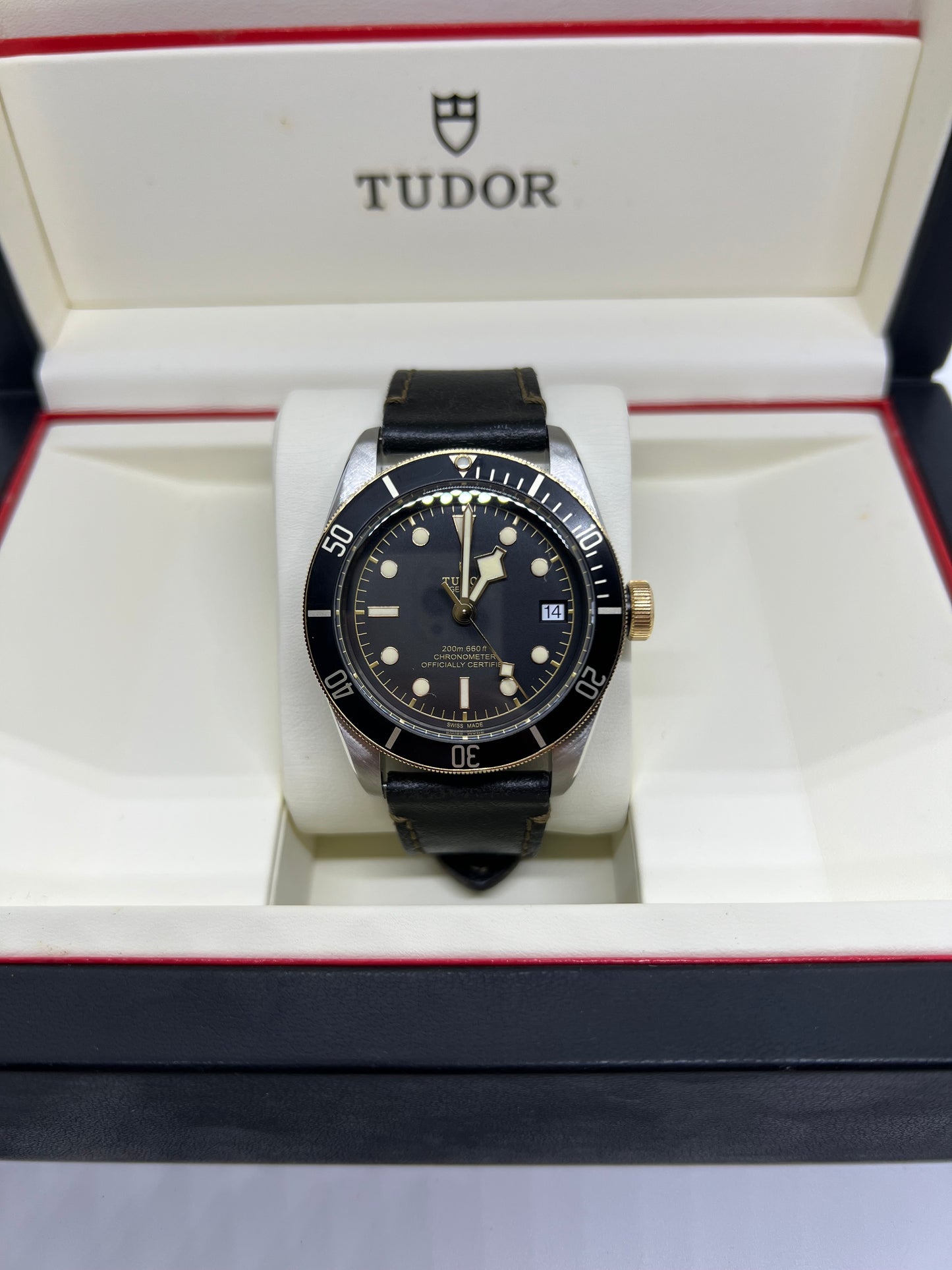 Tudor Heritage BlackBay 79733N